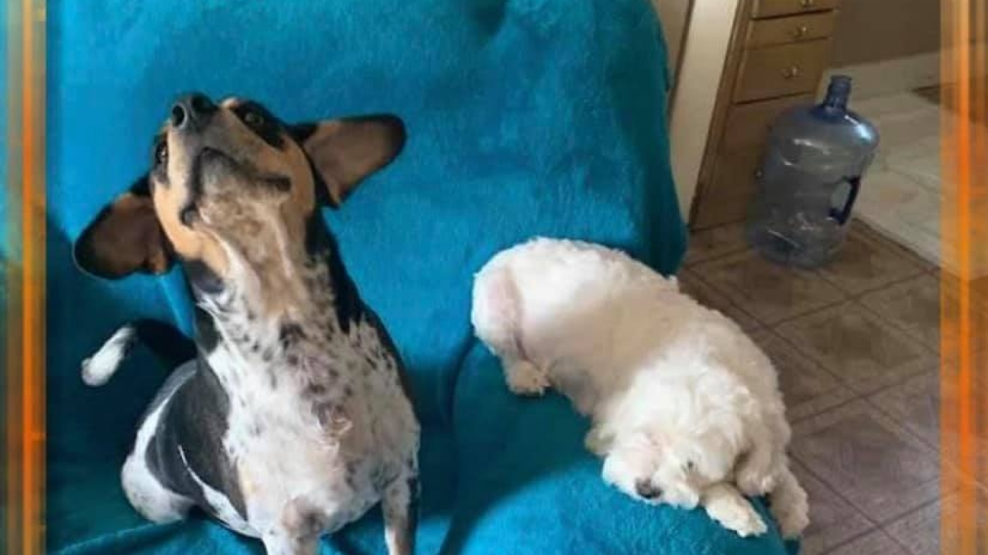 Urgent Help Needed Before Becoming Homeless and Losing My Family