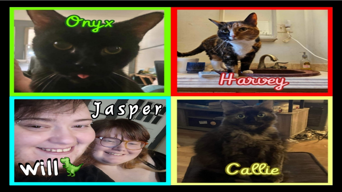 Disabled Couple Living In Unsafe Conditions