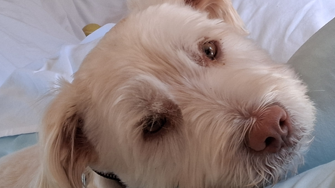 From Nurse to Homeless