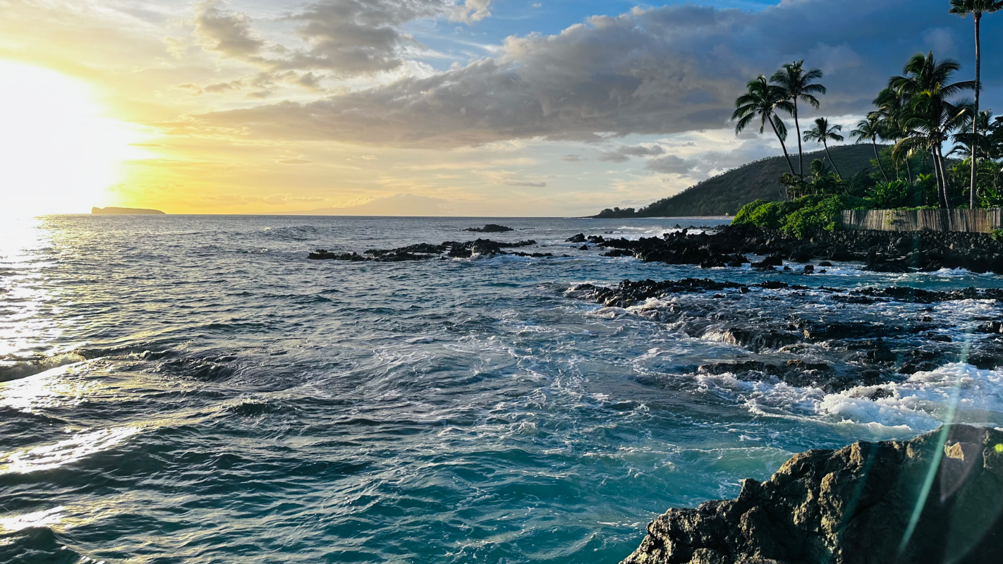 Maui local