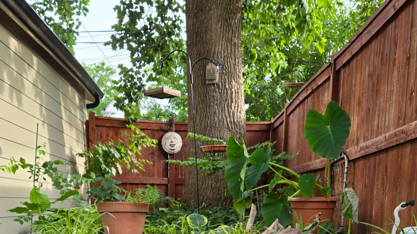Household needs/Wellness