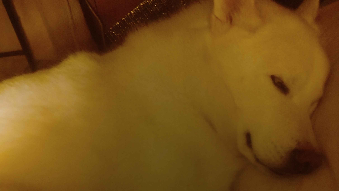 for caregiver with cancer