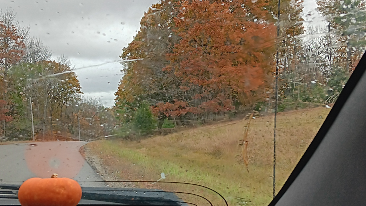 Help with Electricity and vehicle repairs