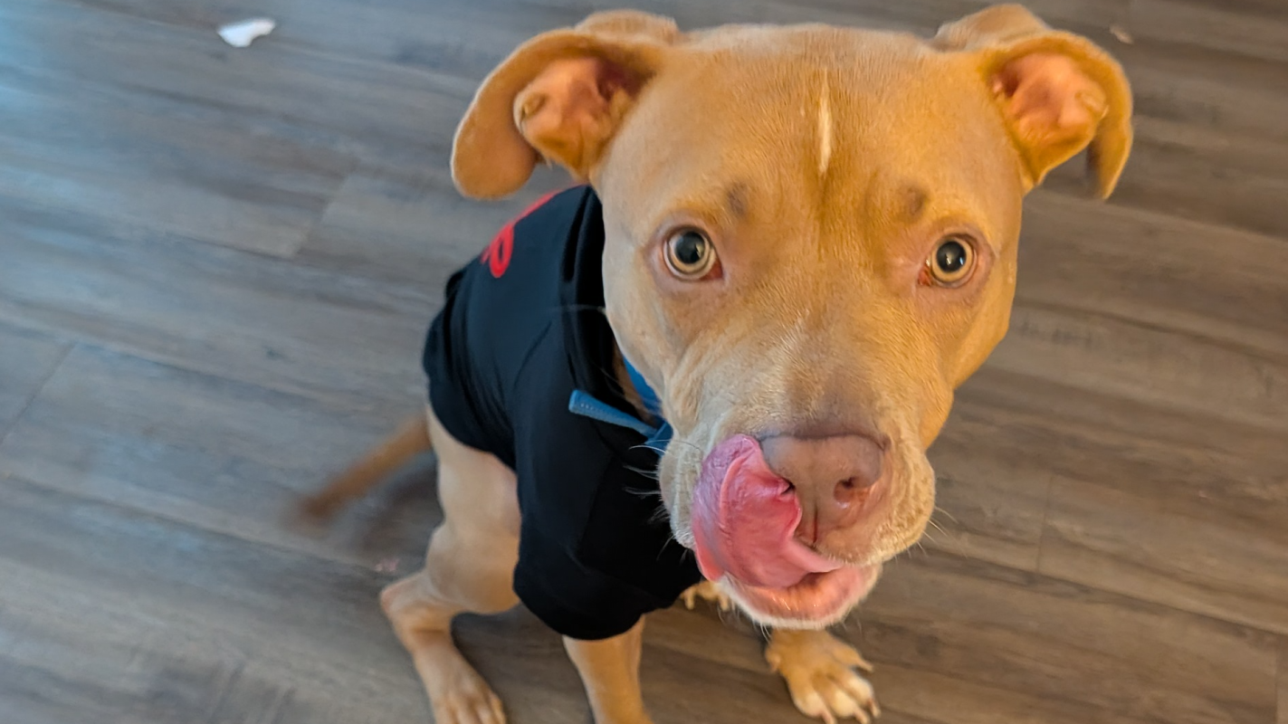 Hanky's Dental Surgery