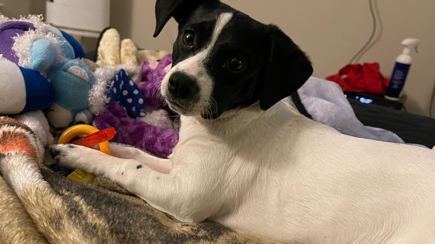 Please Lend A Helping Hand To Sister In Need