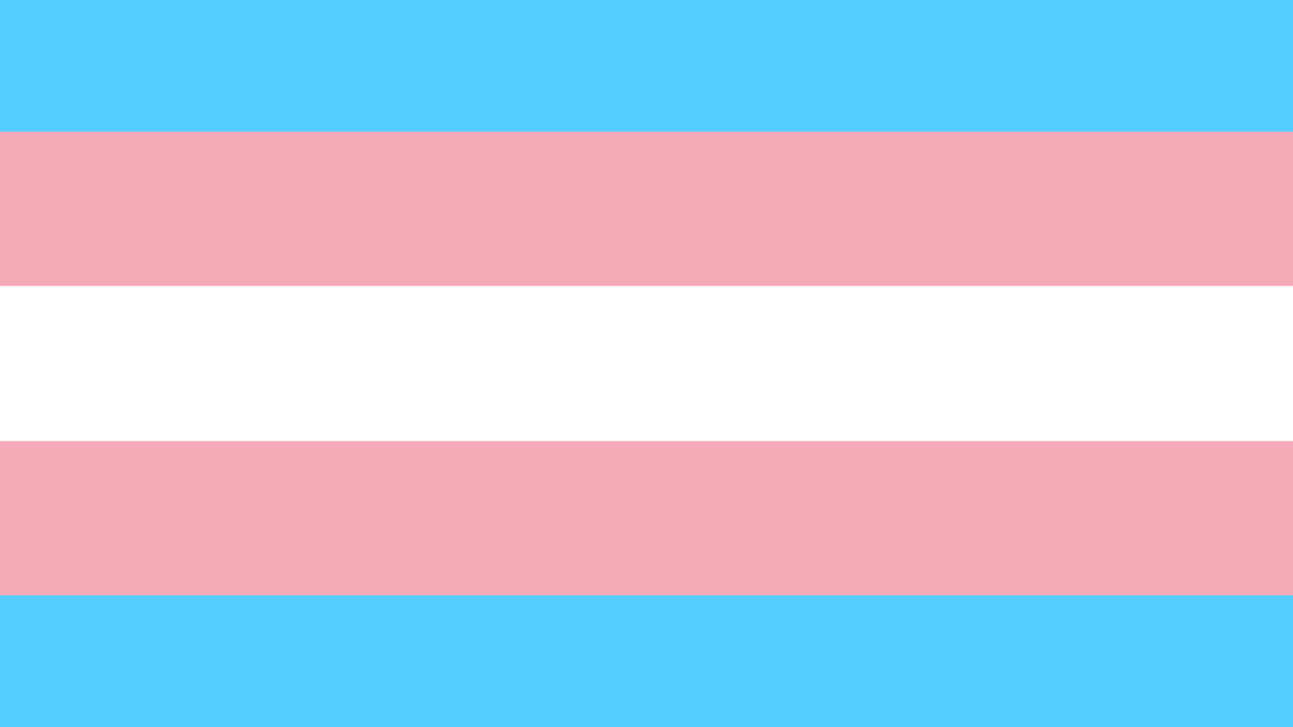 Help my Trans Friend get their surgery