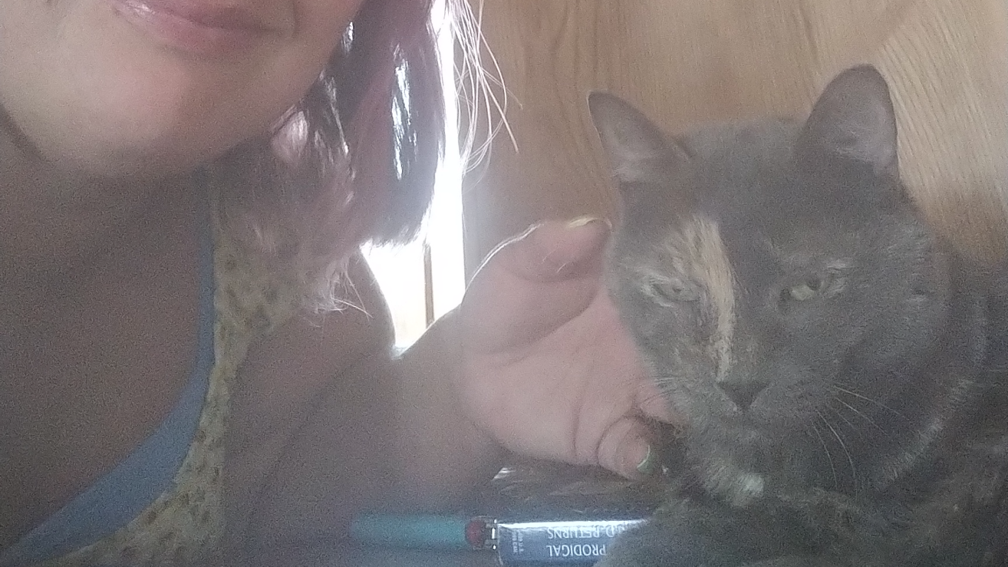 Helping senior cats and tnr rescue thrive in a world so cruel