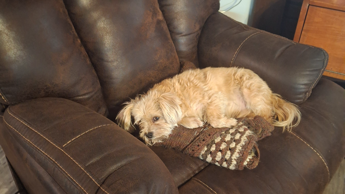 HELP TUCKER BE HEALTHY, HAPPY AND PAIN FREE AGAIN.