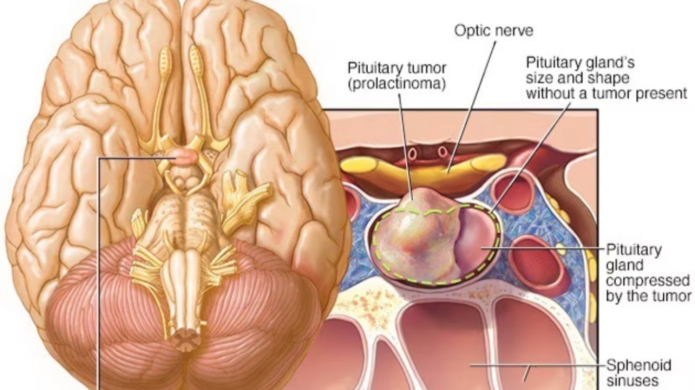 Medical help
