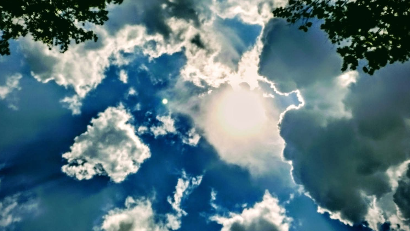 Tiffanys Fresh Sober Life Car Fund