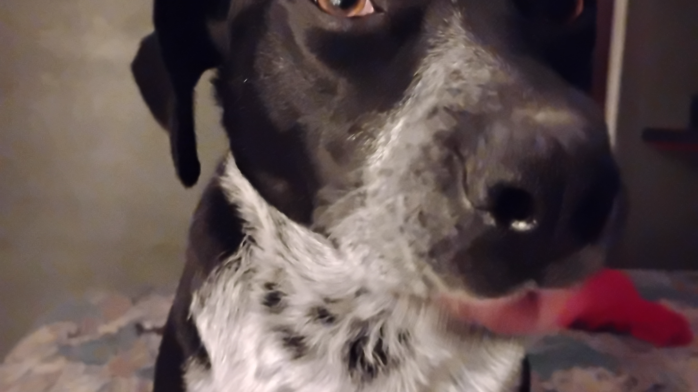 NEED help. One income medical bills are stacking up