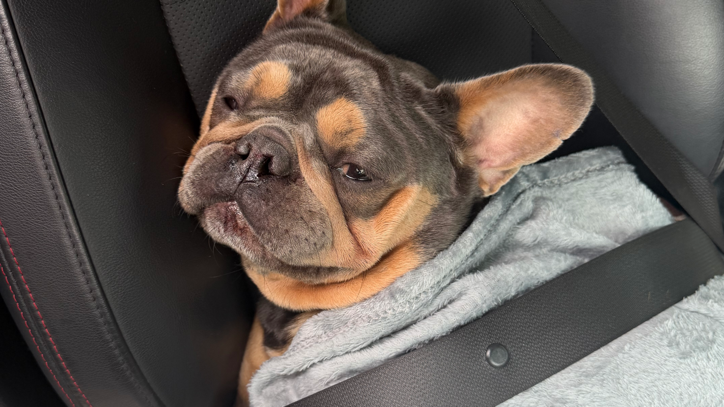 Theodore Medical Bills