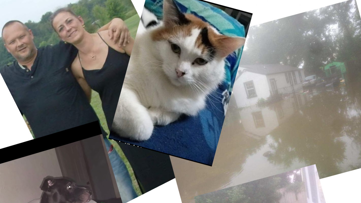 Emergency Flood & Pet Relief Fund