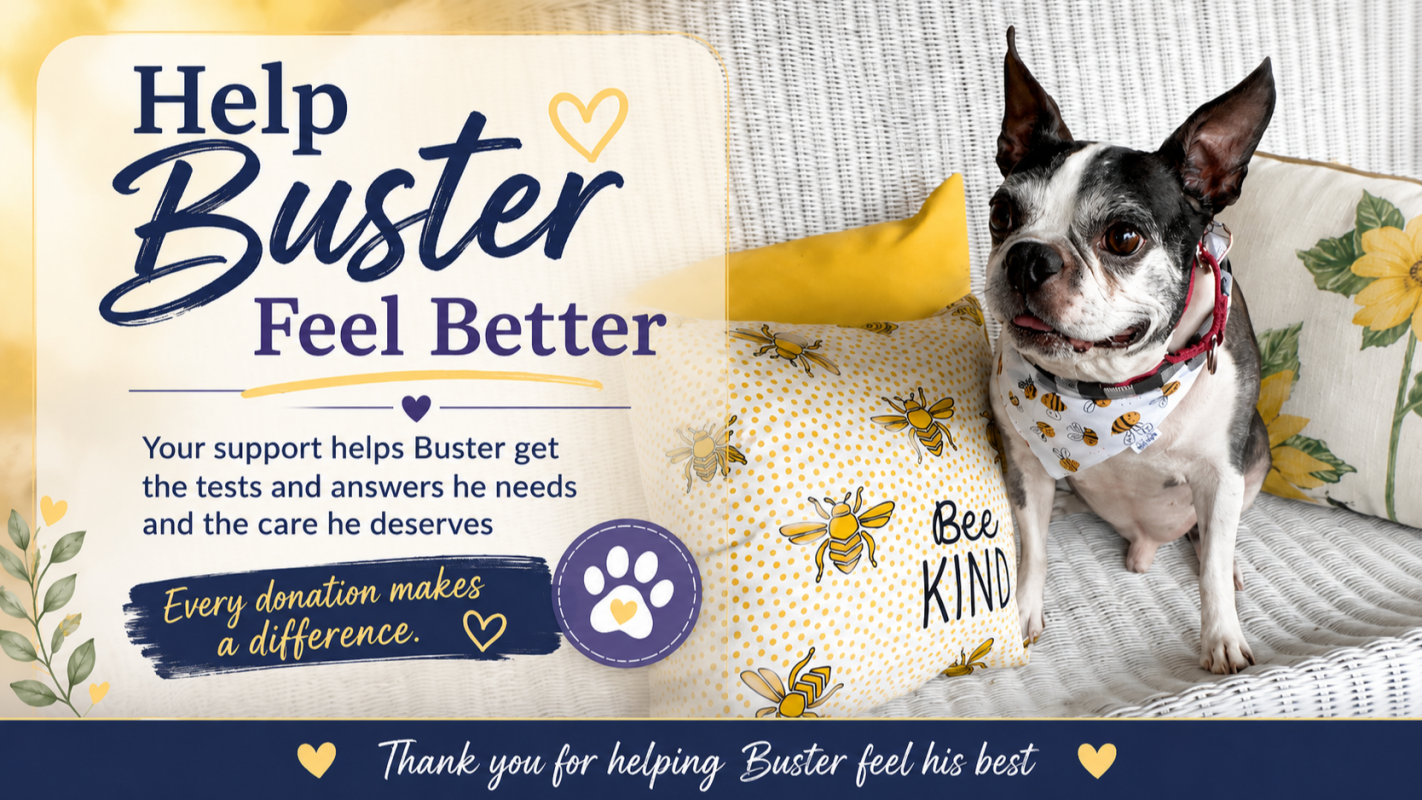 Feel Better, Buster: Dental Work, Diagnostic Testing & Ongoing Treatment