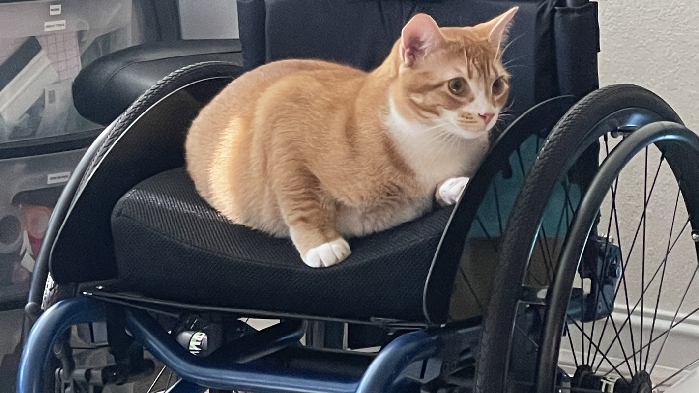 Paying Off Ali's Past & Upcoming Medical Bills