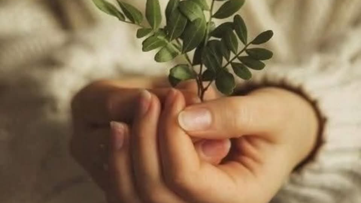 Emergency! I am homeless and need a safe place to live. .