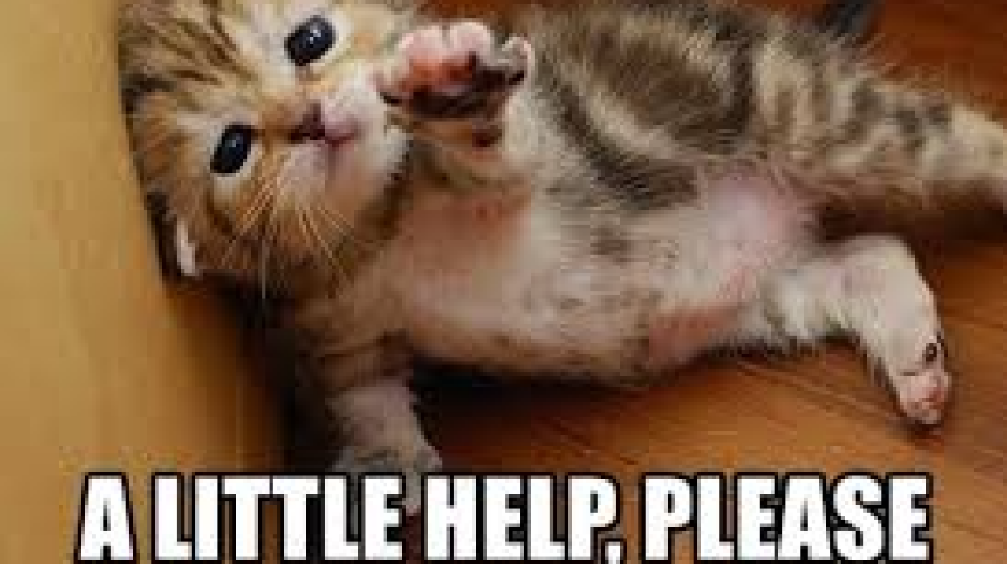 Help Disabled Lady Avoid Eviction and Utility Disconnect