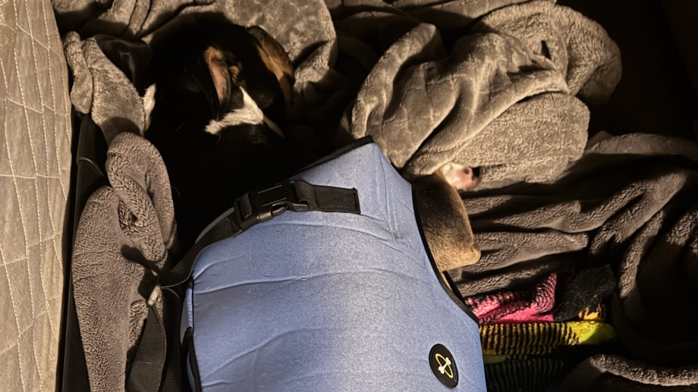 Help Timber get care for her spinal cord injury