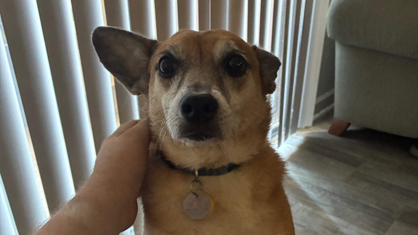 Looking for help with bills and groceries