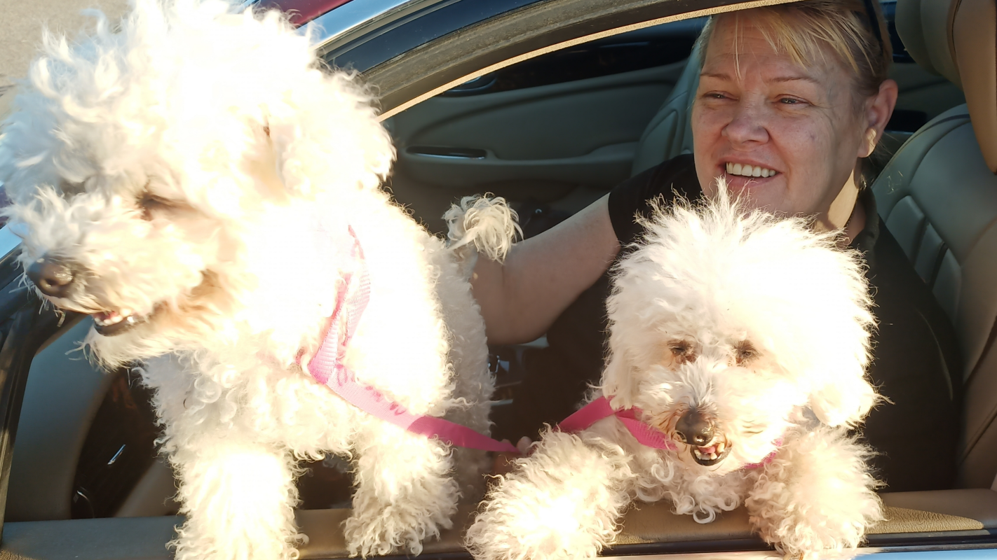 Emergency-Facing Eviction With My Wife and our Pet's