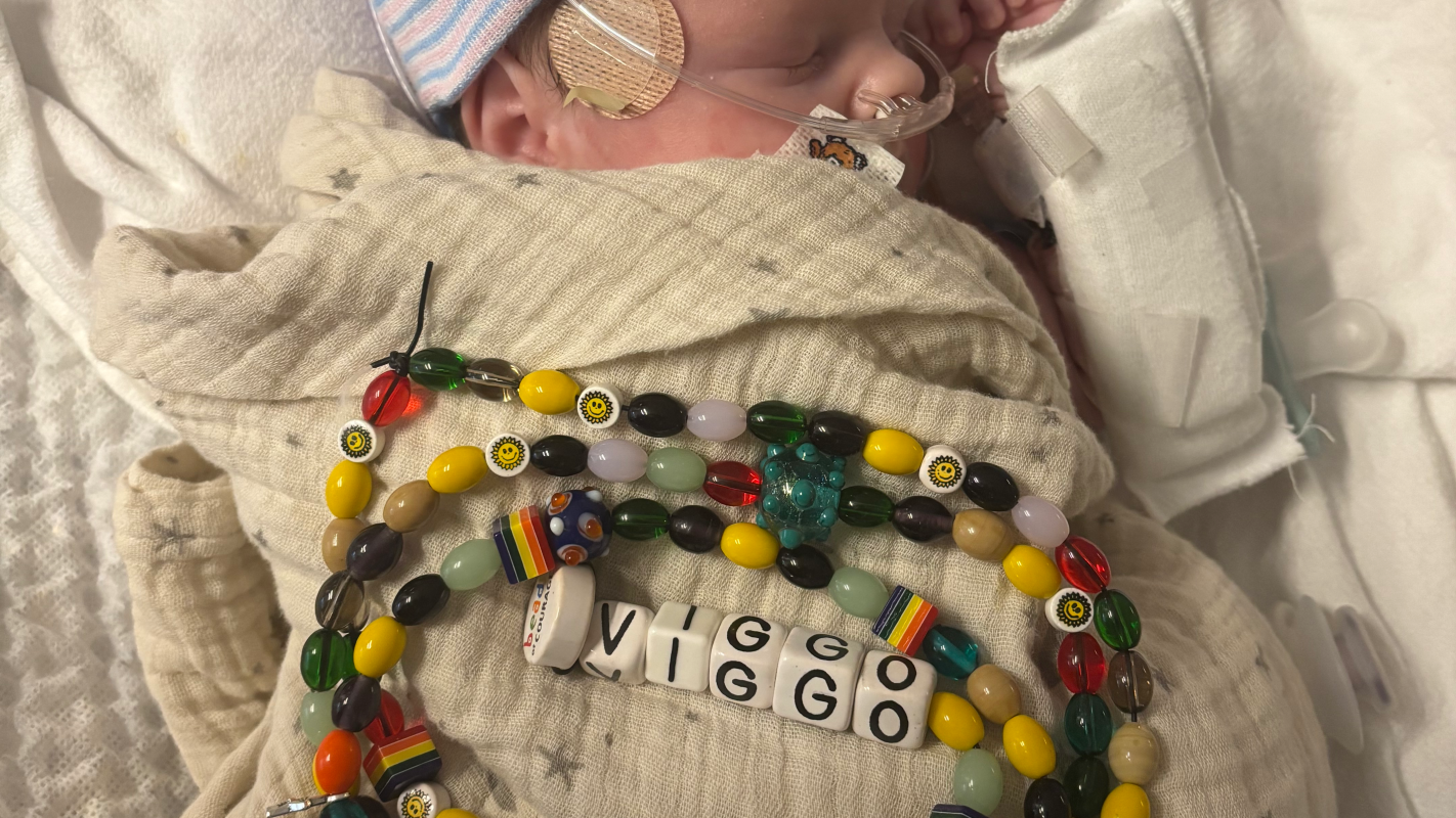 Viggo's Kidney Journey
