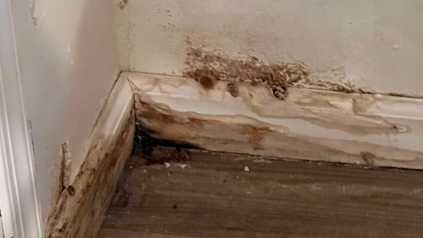 Deteriorating wall