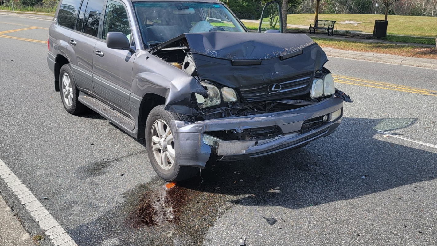 45-Yr Lead Tech/US Citizen: Rebuild After Totaled Truck & Collie’s Broken Pelvis