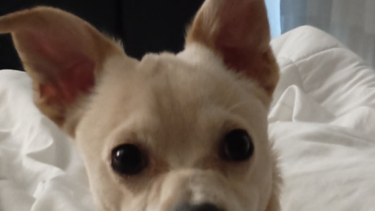 Help Us Keep Our Home