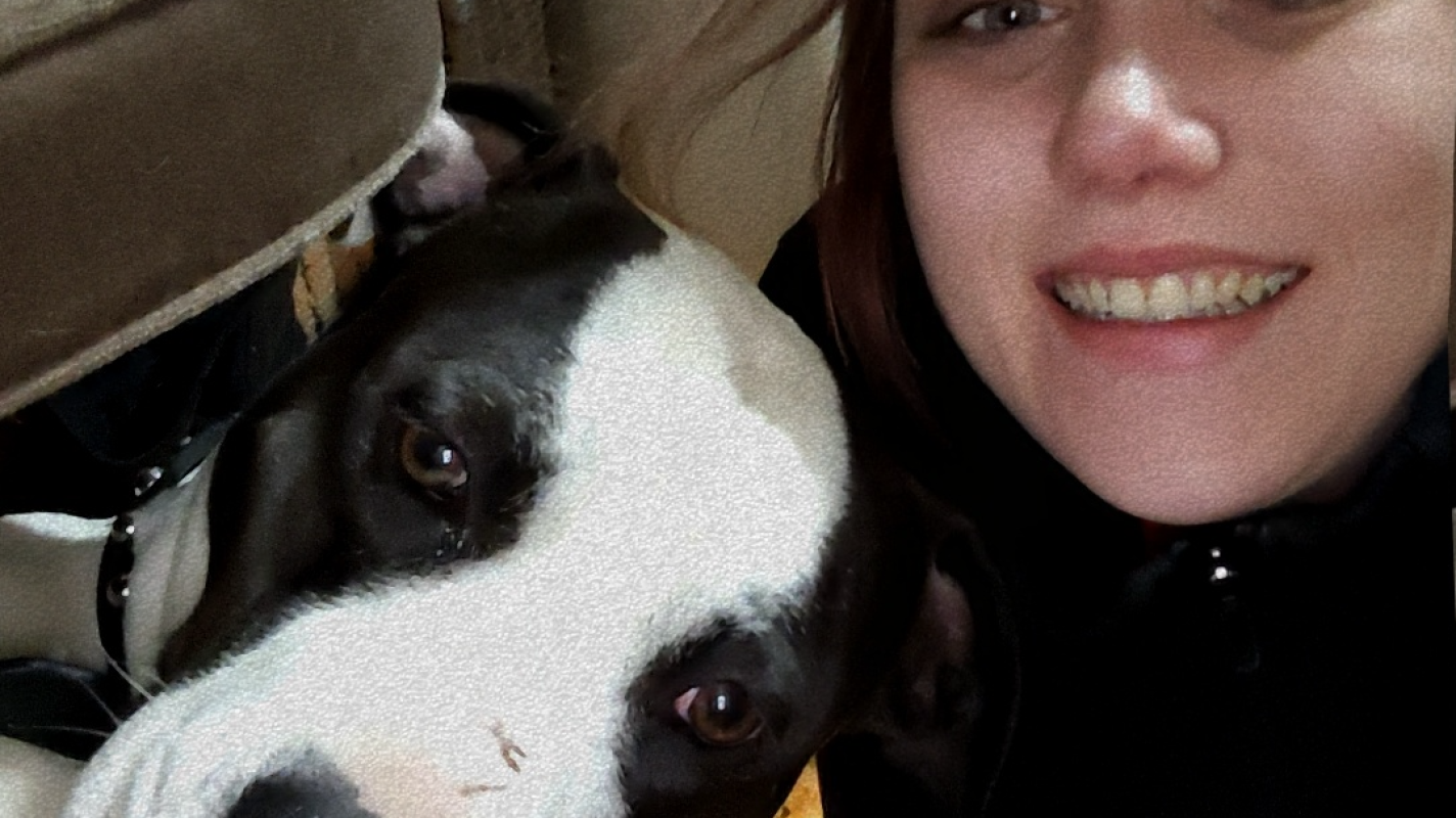 HELP ME AND 4.5 FIND SAFETY: IM TIRED OF RUNNING