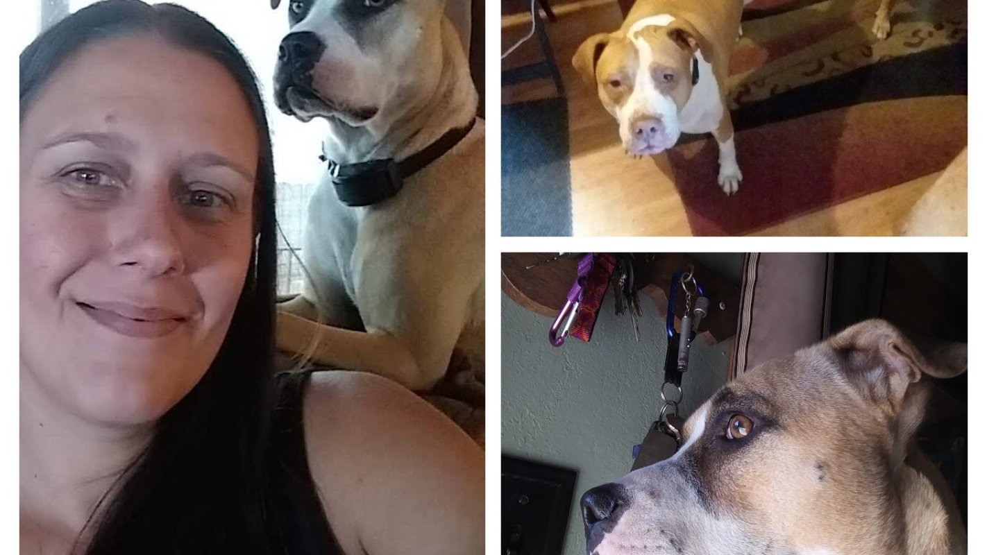 Widow Facing 30-Day Eviction After Suicide Loss