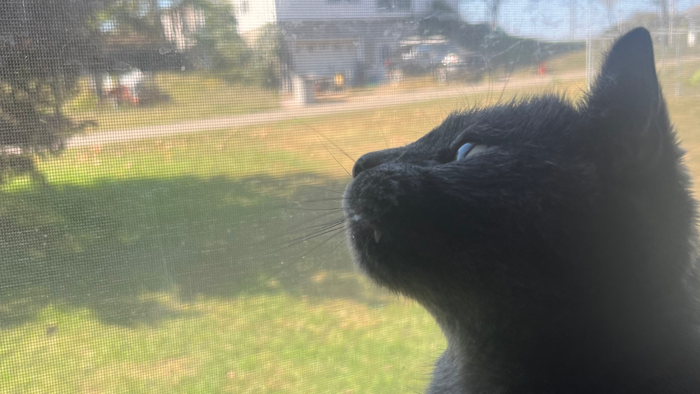 Help Us Afford A Safer Home