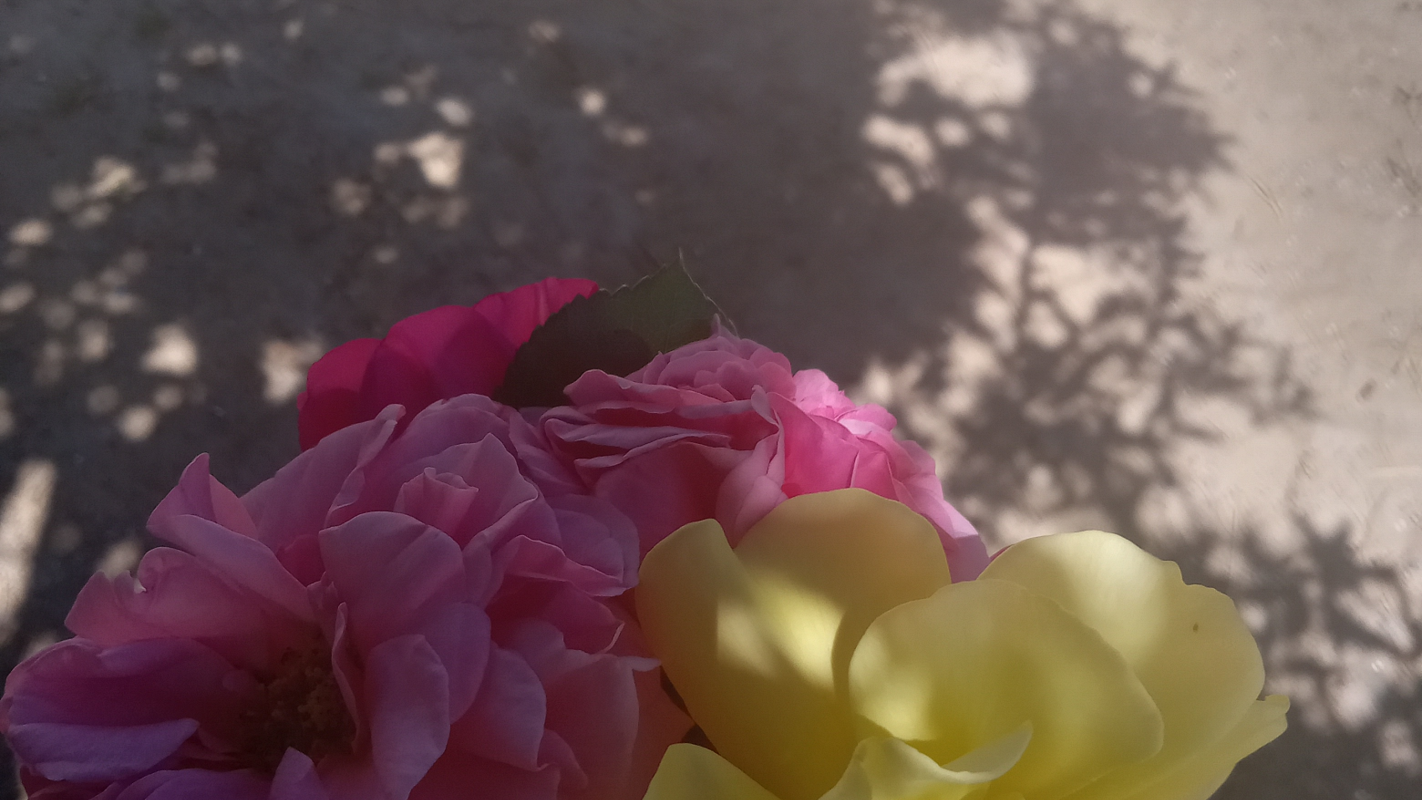 Medical & financial help