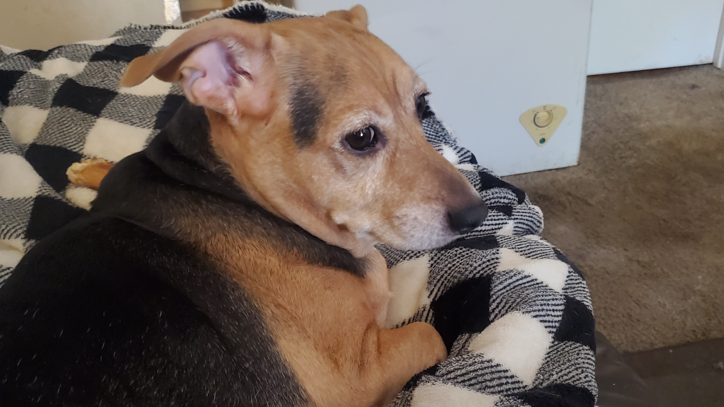 Help Cole get the surgery and treatment he needs