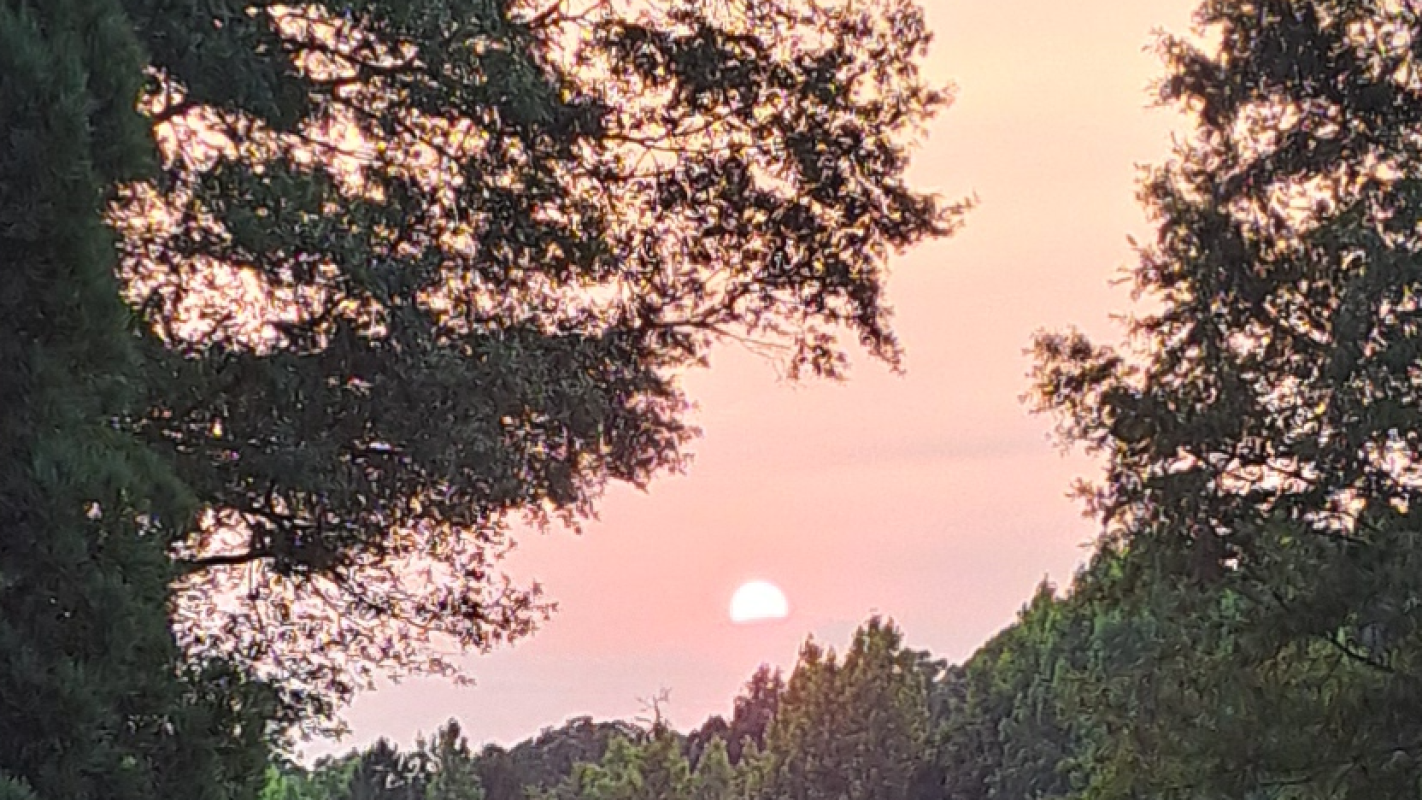 Help with Bills and Mortgage