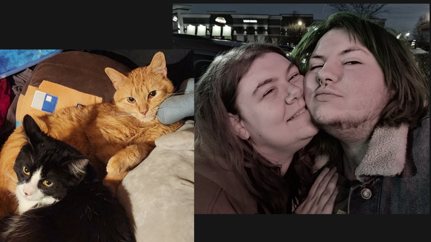 please help us survive this (updated)