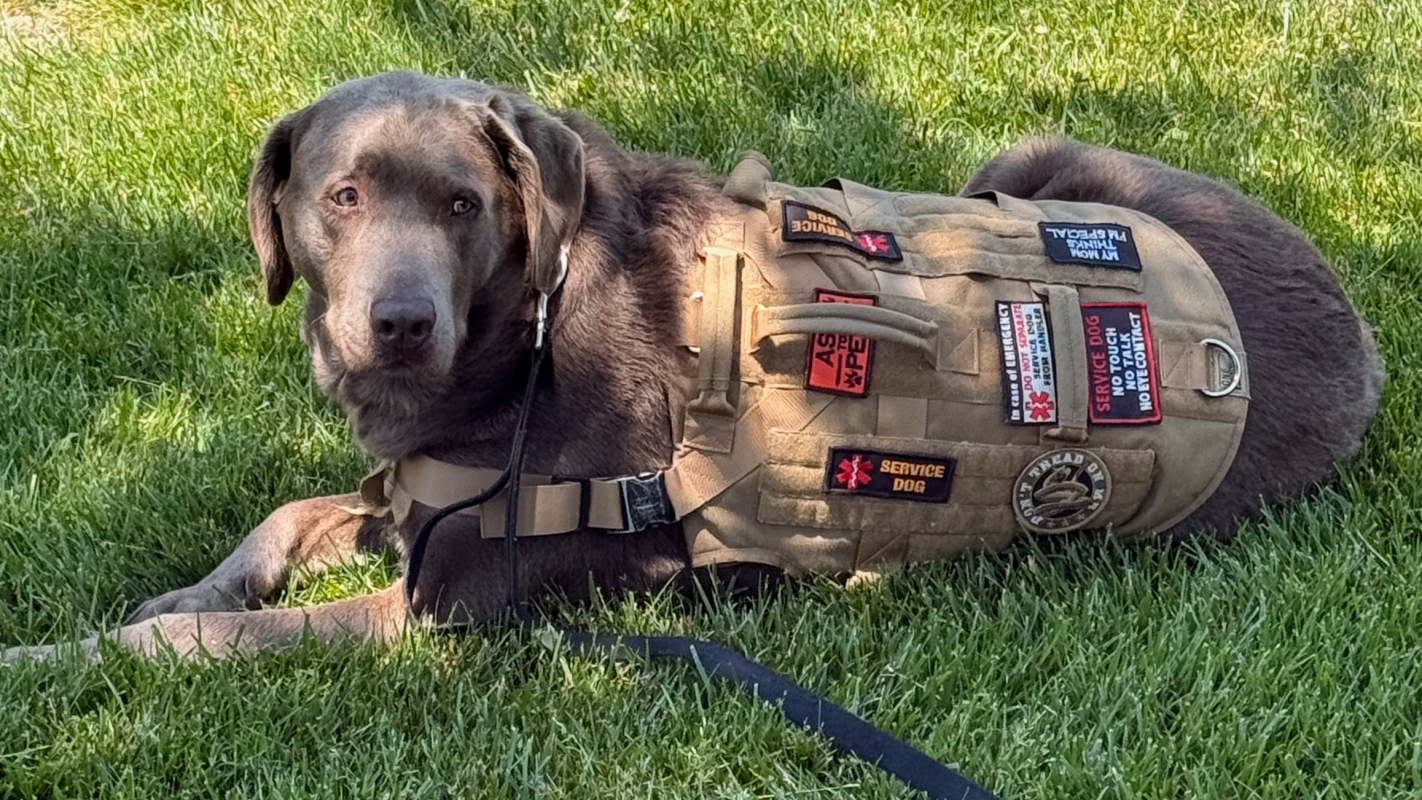 Help Buddy get back to work
