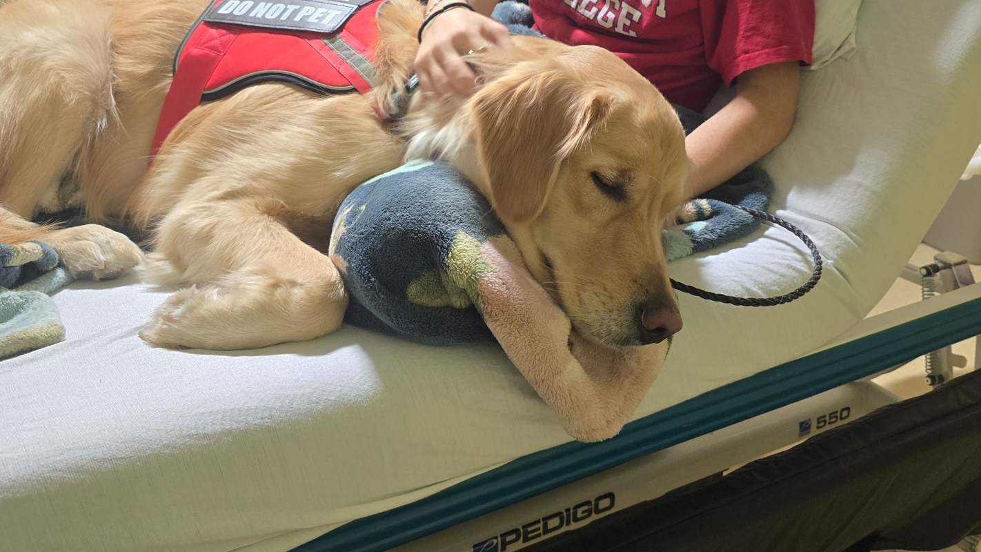 Service Dog for Success