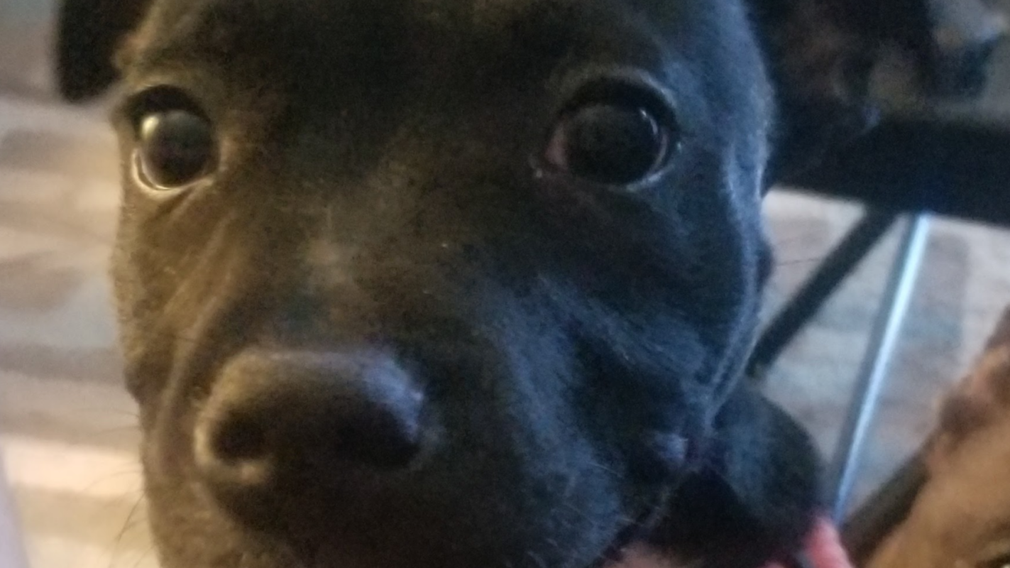 Assist a Disabled Vet rebuild his life