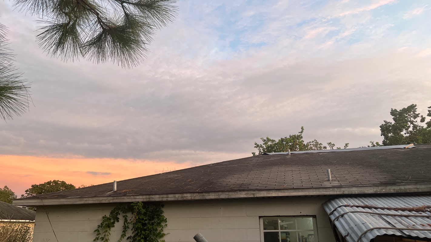 New Roof in need