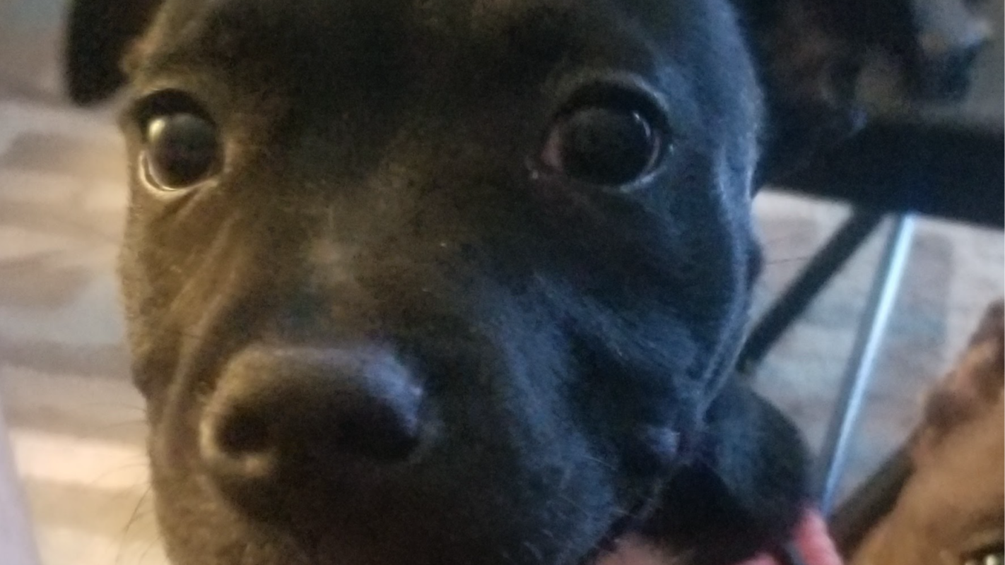 Assist a Disabled Vet rebuild his life