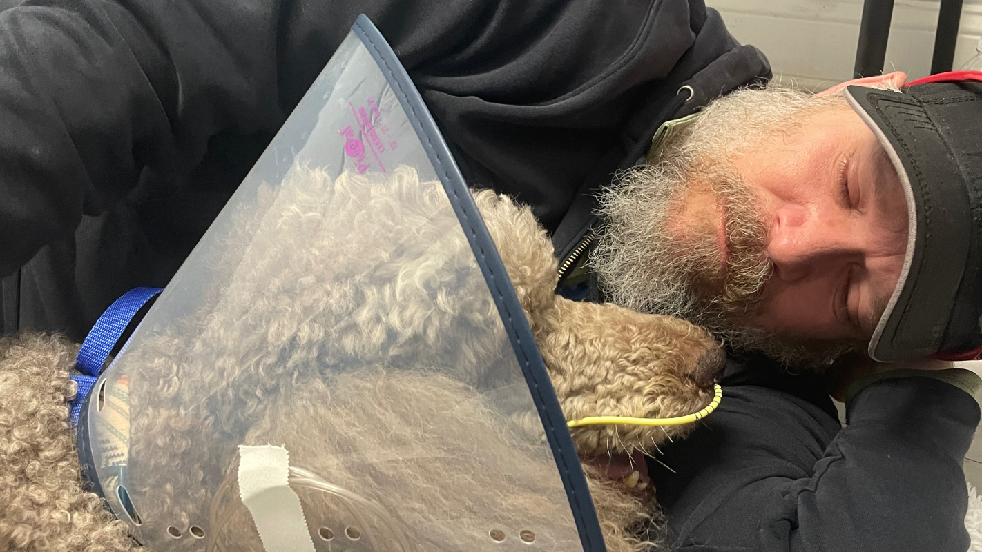 Care for Marshmella after Life saving surgery