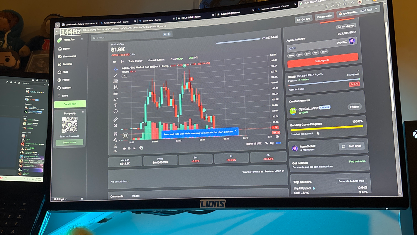 Meme coin/ charity loss