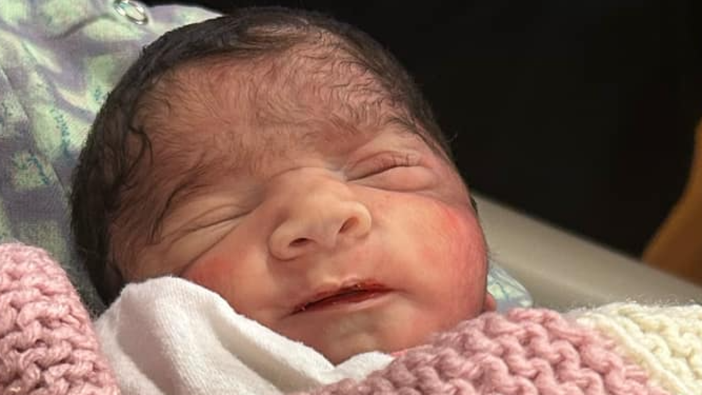 LunaRose's Memorial Stone