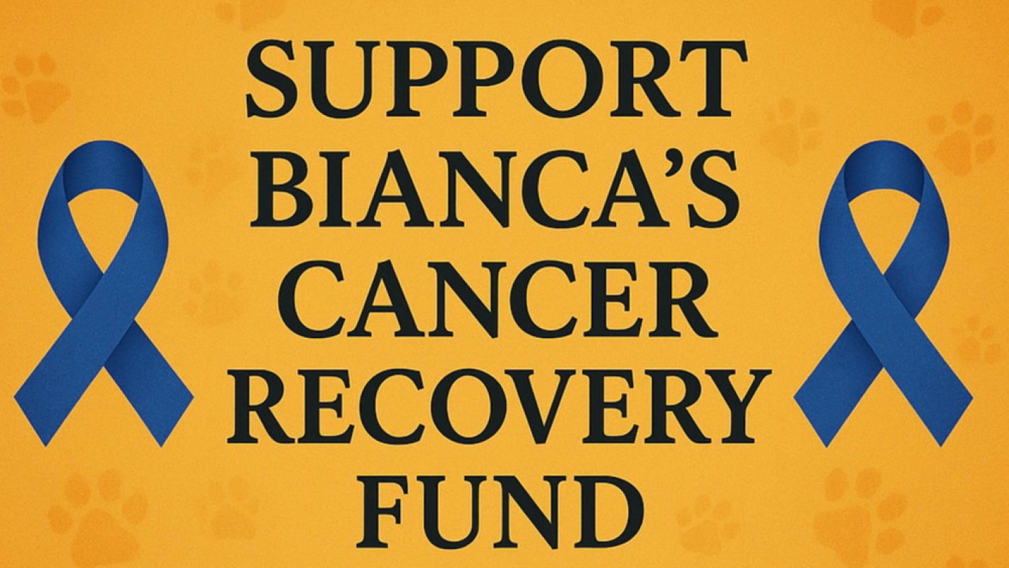Cancer Recovery Fund