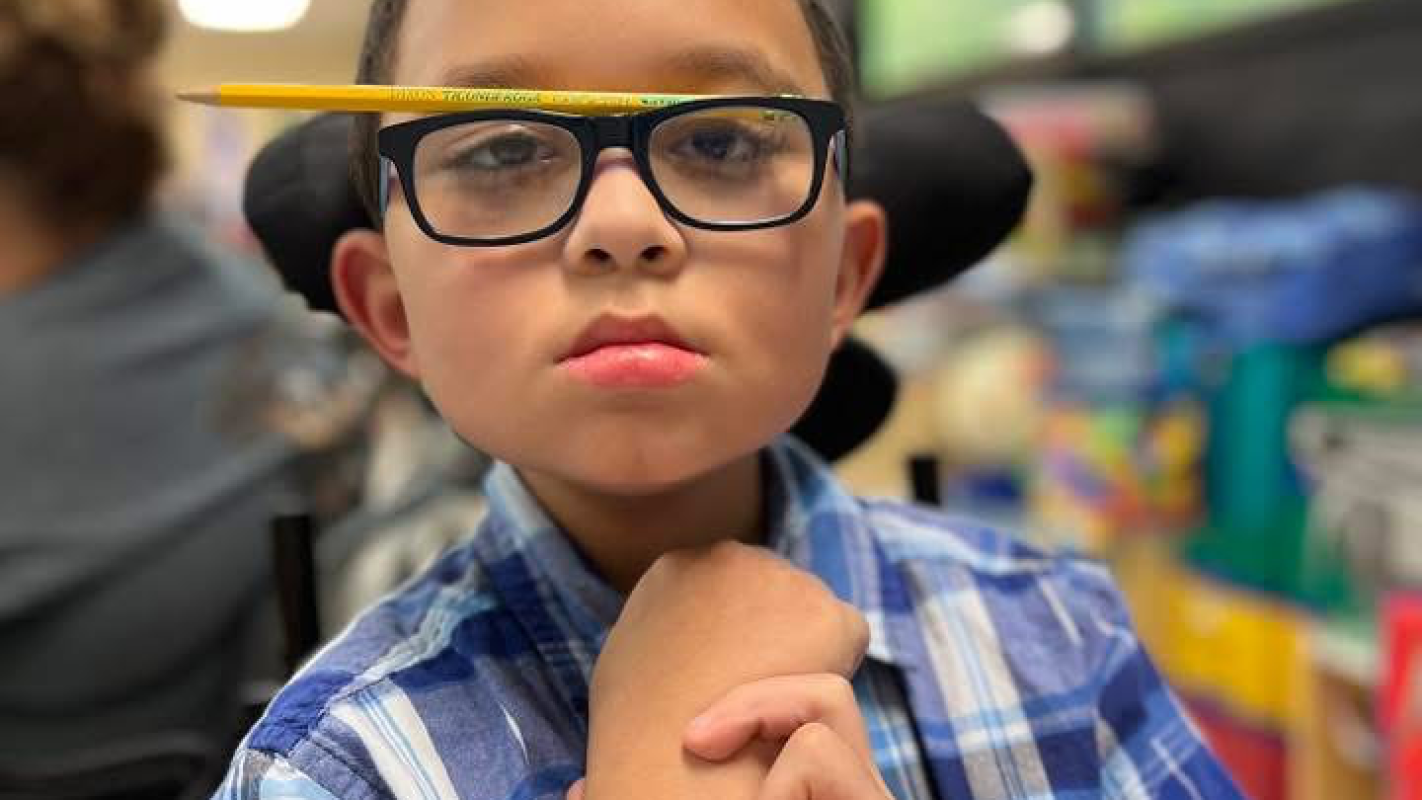 A wheelchair accessible van for AMEDEO