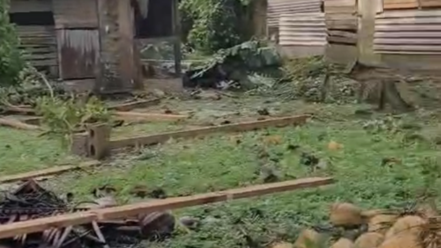 Rowan Chong (Rowindon Farms) rebuilding after devastating loss in hurricane Melissa