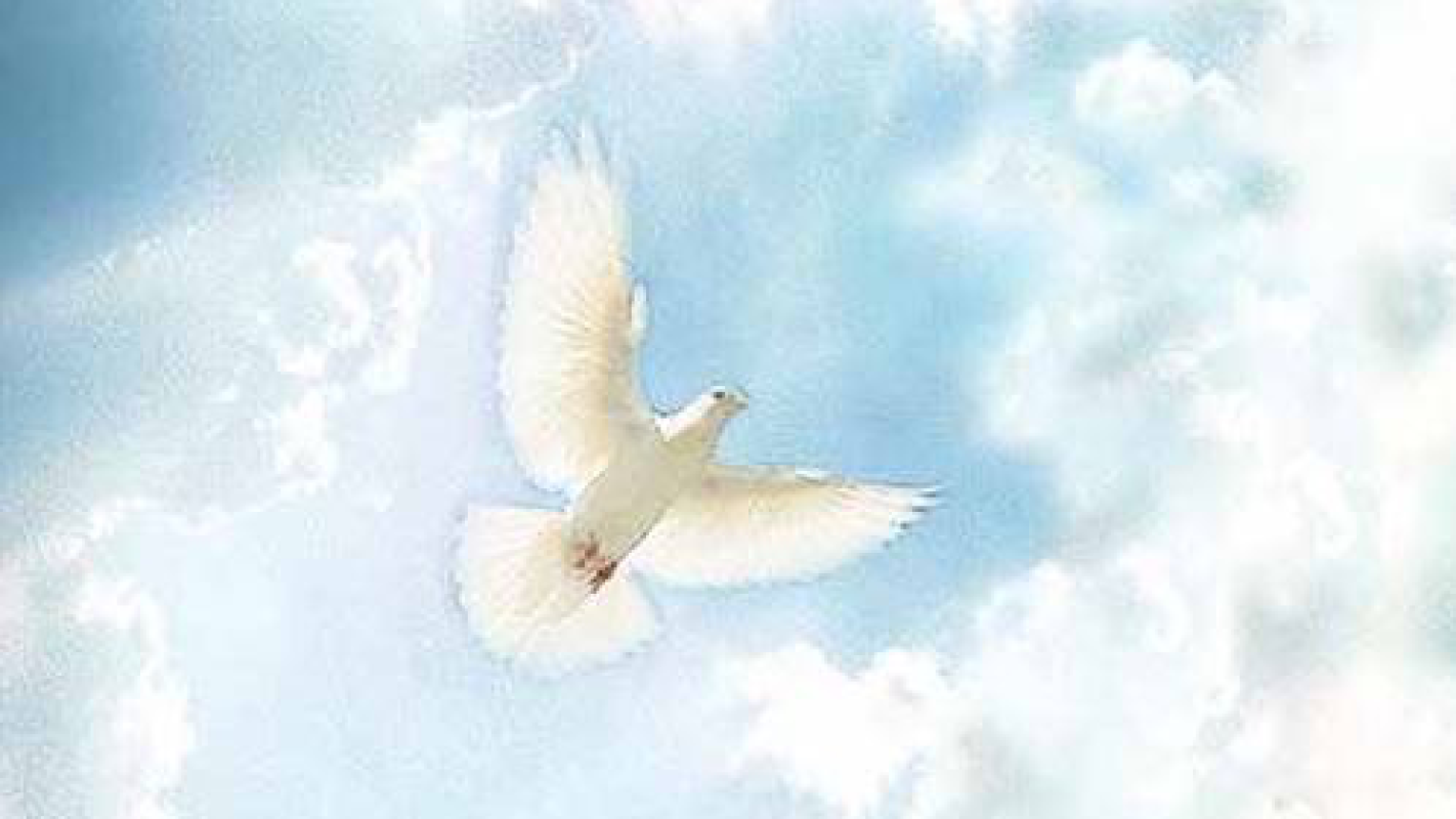 lay Trina Schallock to rest