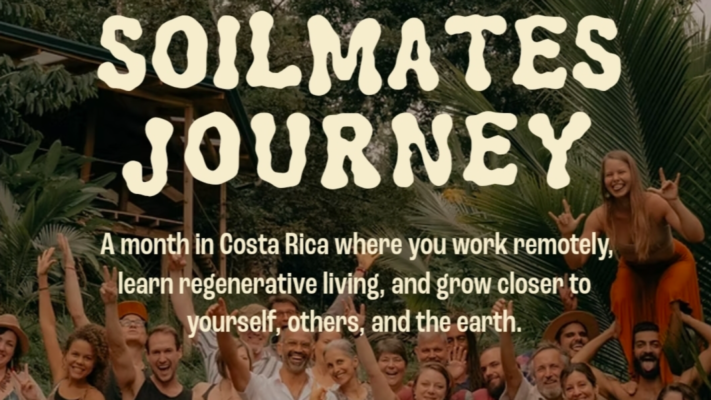 Permaculture Immersion for Urban Farming NonProfit