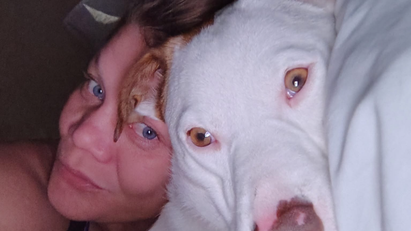 Food and housing for me and my dog