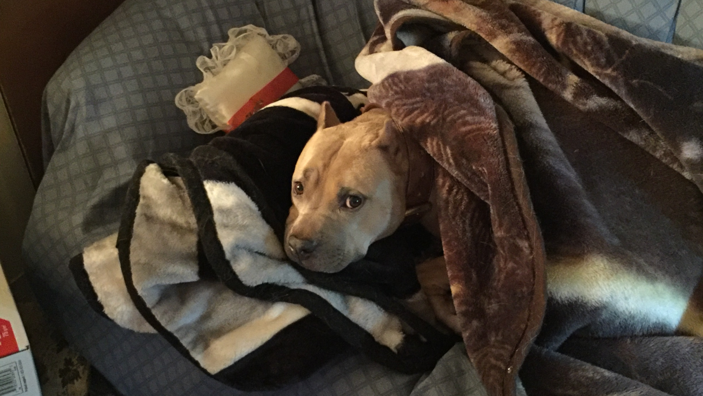 Jax’s road to recovery